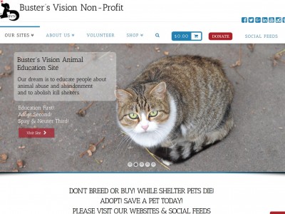 bustersvision.org