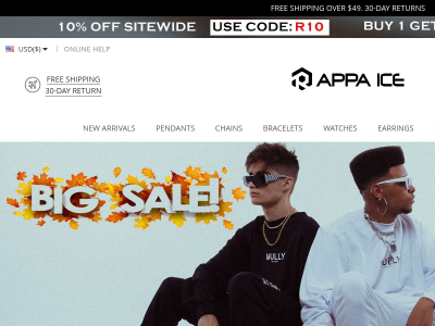 rappaice.com