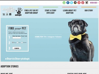 theshelterpetproject.org