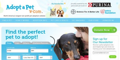 adoptapet.com reviews