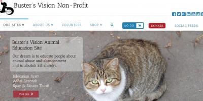 bustersvision.org reviews
